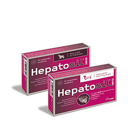 HEPATOSIL 200